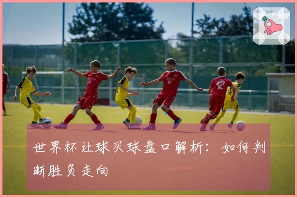 世界杯让球买球盘口解析：如何判断胜负走向