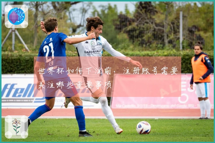 世界杯如何下注前，注册账号需要关注哪些重要事项