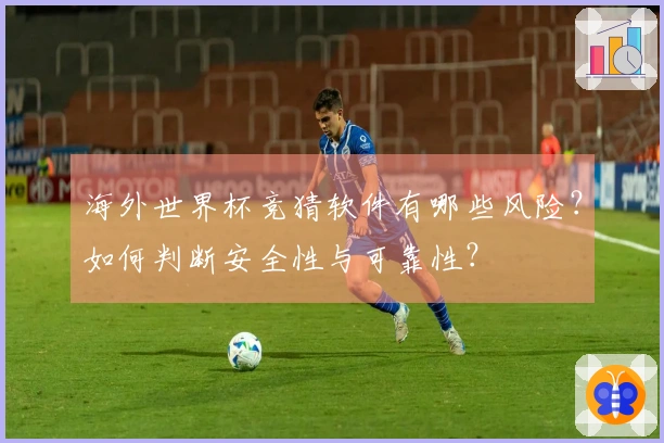 海外世界杯竞猜软件有哪些风险？如何判断安全性与可靠性？