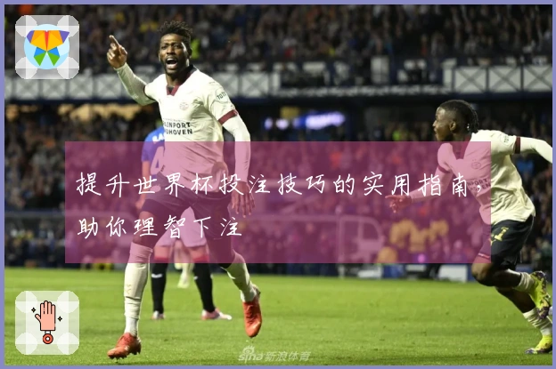 提升世界杯投注技巧的实用指南，助你理智下注