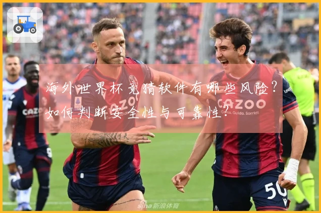 海外世界杯竞猜软件有哪些风险？如何判断安全性与可靠性？