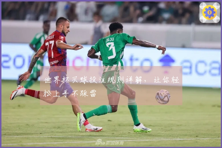 世界杯买球投注规则详解，让你轻松上手不踩雷