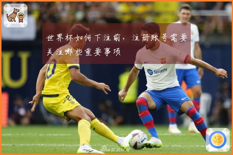 世界杯如何下注前，注册账号需要关注哪些重要事项