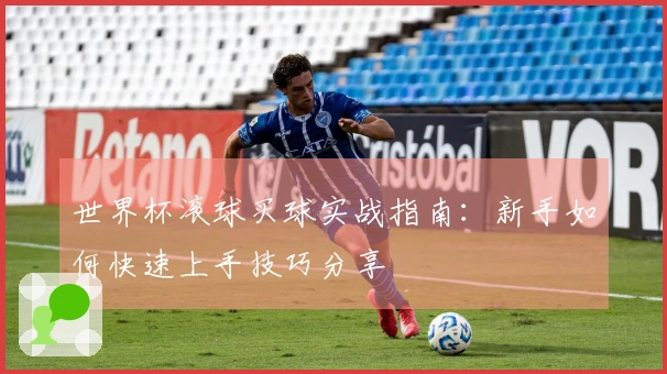 世界杯滚球买球实战指南：新手如何快速上手技巧分享