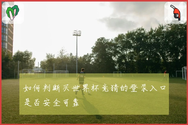如何判断买世界杯竞猜的登录入口是否安全可靠